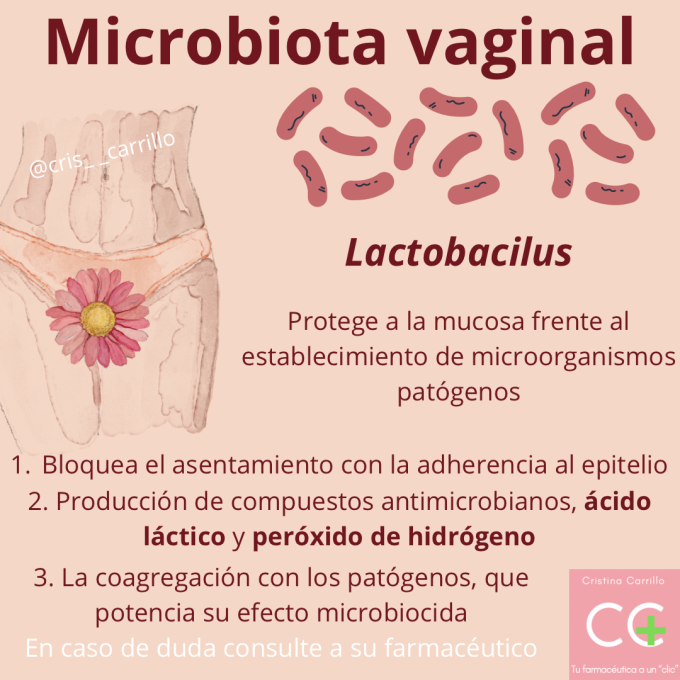 Microbiota vaginal